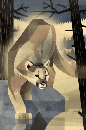 Mountain Lion