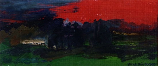 Landscape with a Red Sky a Brenda Brin  Booker