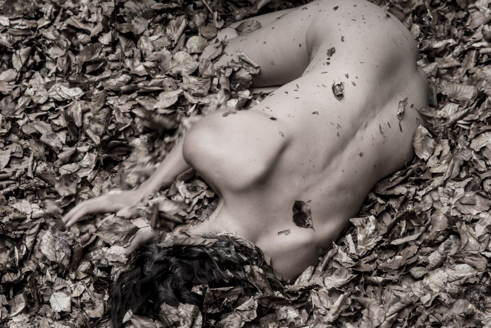 Female nude in the foliage a Amelie Breslauer