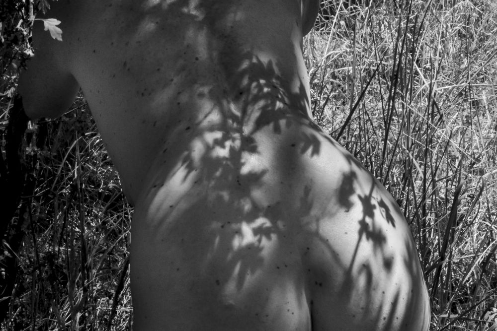 Female back-nude with shadow play a Amelie Breslauer