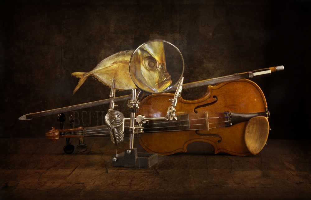 Fish and violin a Brig Barkow
