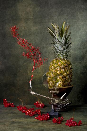 Still life with viburnum and pineapple