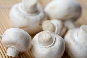 Champignons