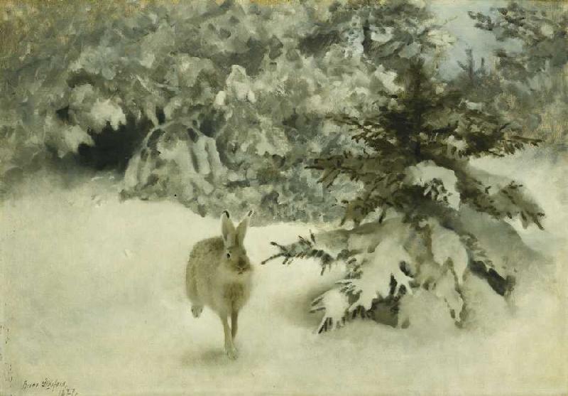 Ein Hase im Schnee a Bruno Andreas Liljefors