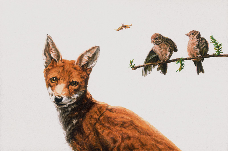 Fox Birds a Maxine R. Cameron