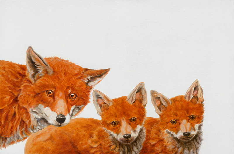Meet the Foxes a Maxine R. Cameron