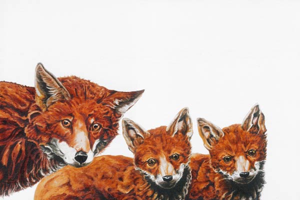Meet the Foxes 2 a Maxine R. Cameron