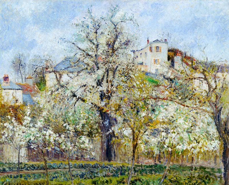 The Vegetable Garden with Trees in Blossom, Spring, Pontoise a Camille Pissarro