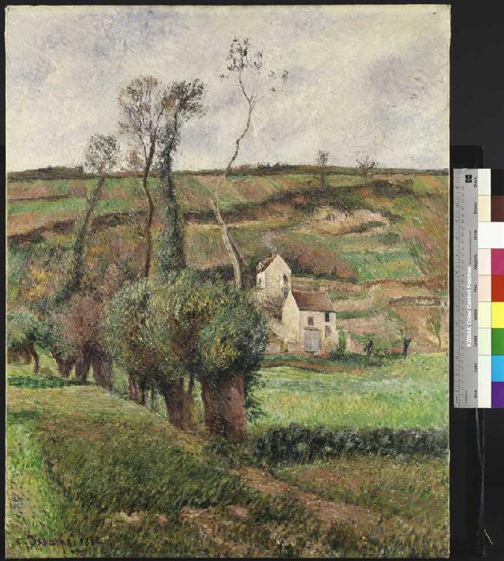 Die Kohlfelder in Pontoise a Camille Pissarro