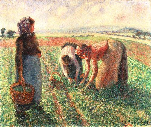 The pea harvest, Eragny a Camille Pissarro