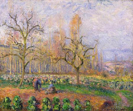 Orchard at Pontoise