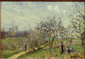 Pissarro/ Blühender Obstgarten/ 1872