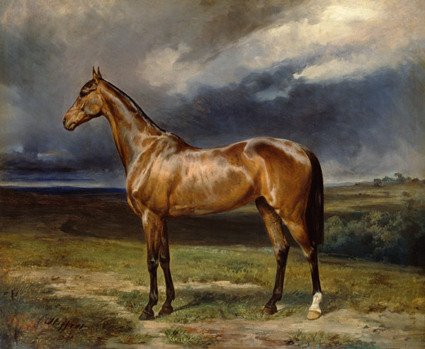 'Abdul Medschid' the chestnut arab horse a Carl Constantin Steffeck