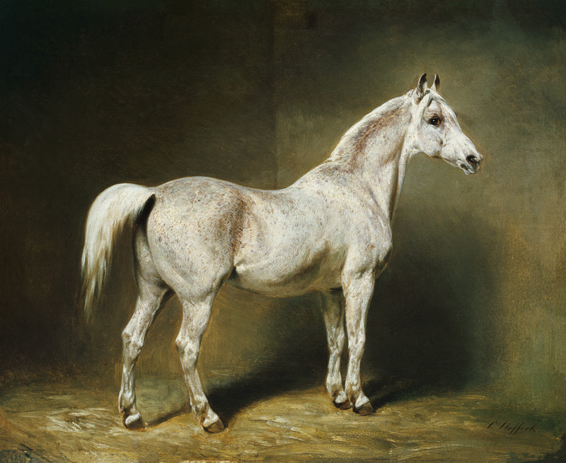 'Beatrice', the white arab saddlehorse of Helmuth Graf von Moltke a Carl Constantin Steffeck