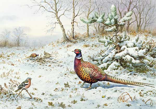 Cock Pheasant and Chaffinch  a Carl  Donner