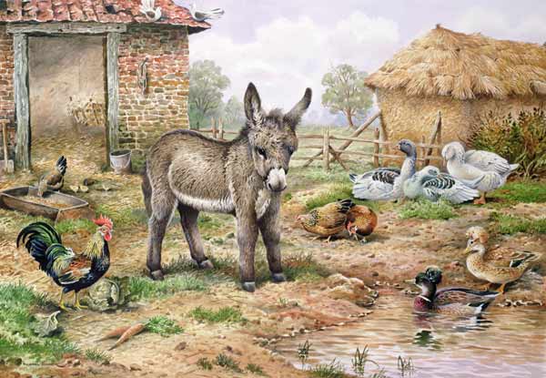 Donkey and Farmyard Fowl  a Carl  Donner