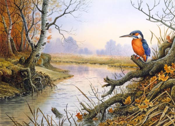 Kingfisher: Autumn River Scene  a Carl  Donner