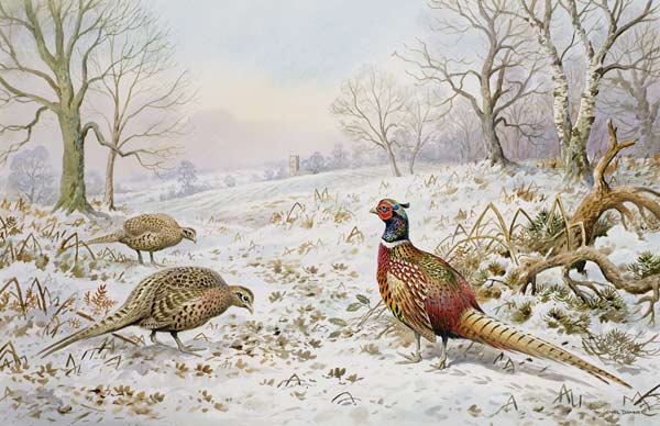 Pheasant and Partridges in a Snowy Landscape  a Carl  Donner