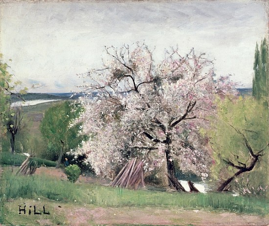 Fruit Tree in Blossom, Bois-le-Roi a Carl Fredrik Hill