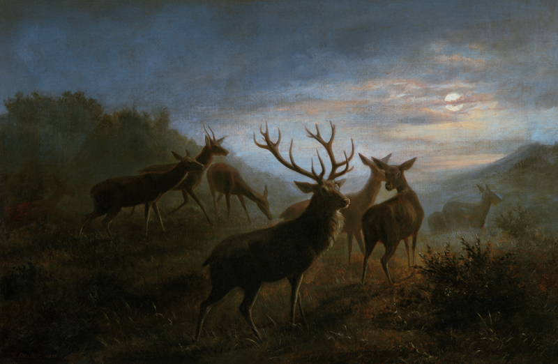 Red deer pack in the moonlight. a Carl Friedrich Deiker