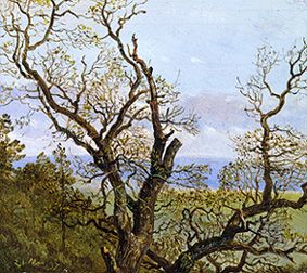 Gnarled oaks in spring a Carl Gustav Carus