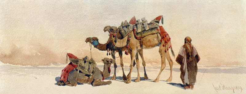 Resting with Three Camels in the Desert a Carl Haag
