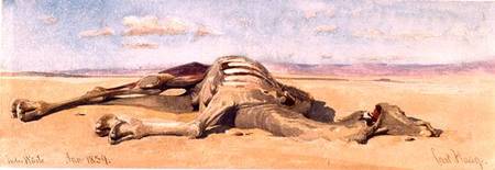 A Dead Camel a Carl Haag