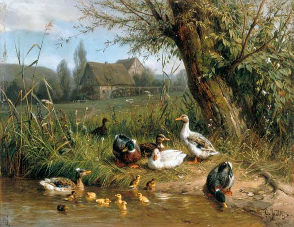 Ducks with chicks at the water a Carl Jutz
