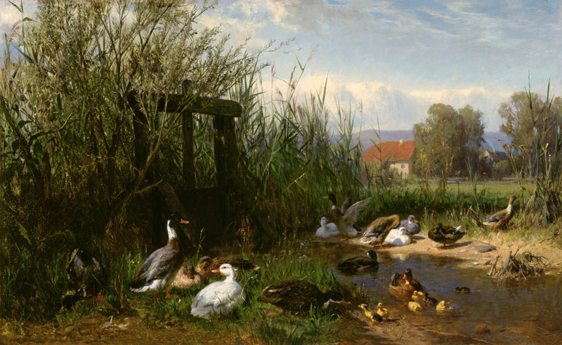 Ducks at the brook a Carl Jutz