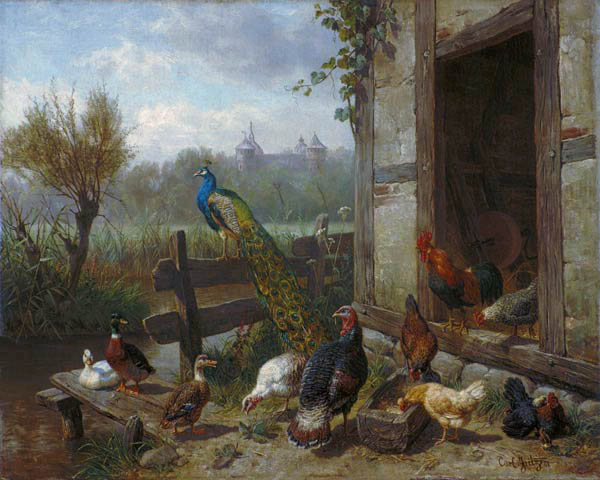 Poultry court a Carl Jutz