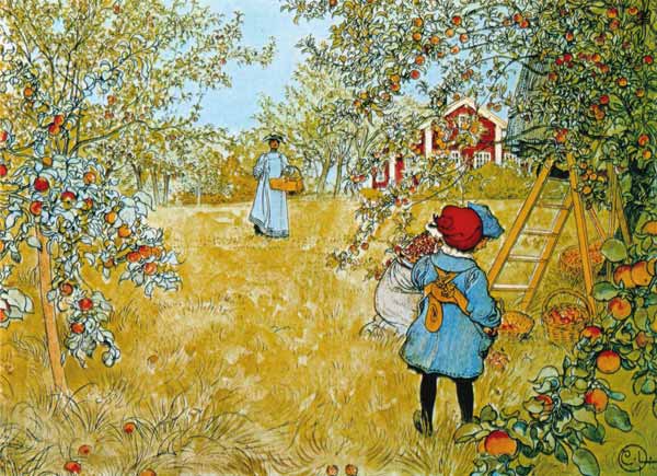 The Apple Harvest a Carl Larsson