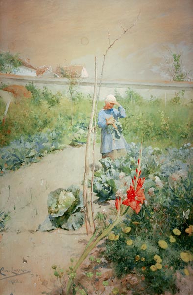 Im Küchengarten a Carl Larsson