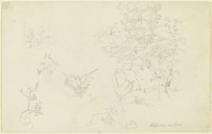 Tiere mit Ranken; eine Fledermaus; ein kleiner und ein größerer Landschaftsausschnitt mit zwei Vögel a Carl Philipp Fohr