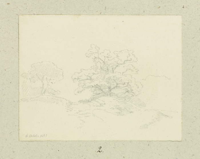 Alter Baum auf einer Erhebung a Carl Theodor Reiffenstein
