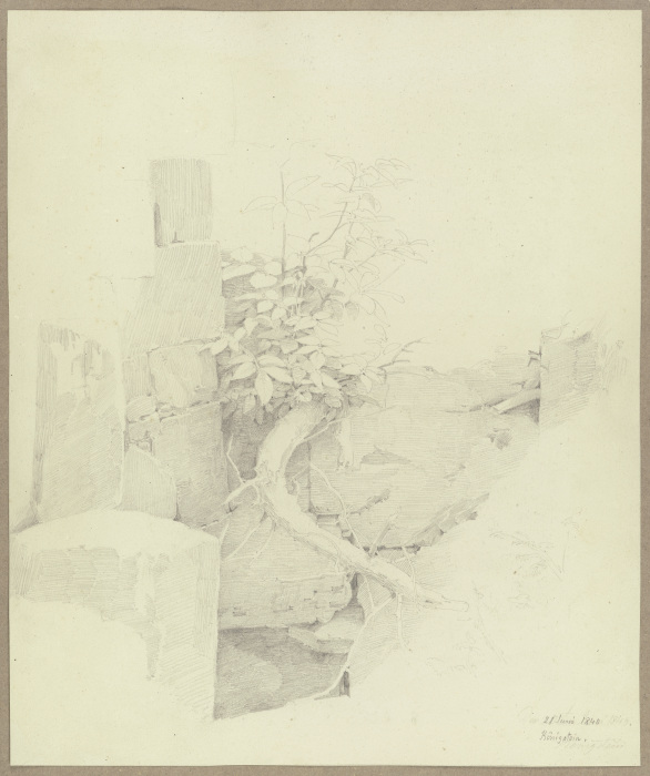 An einer ruinösen Mauer in Königstein aufsprießendes Bäumlein a Carl Theodor Reiffenstein