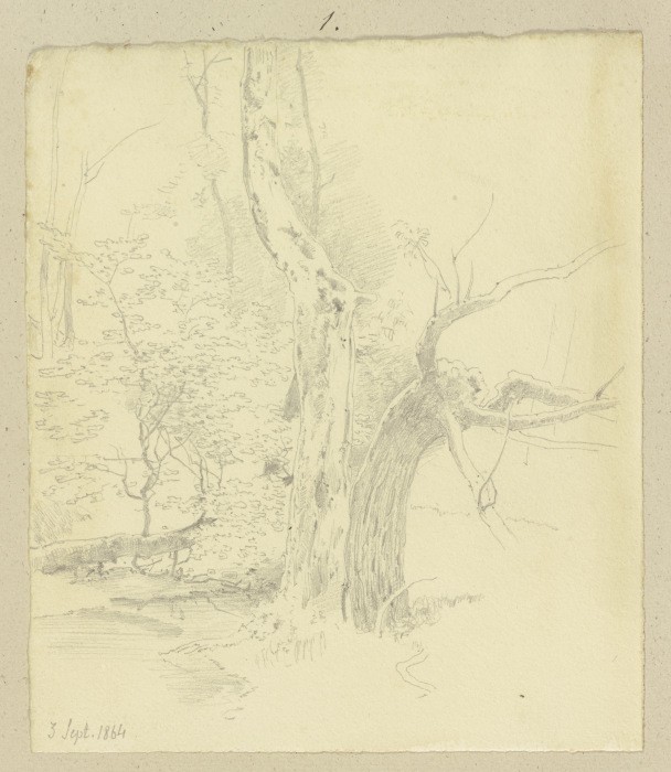 Trees at a stream a Carl Theodor Reiffenstein