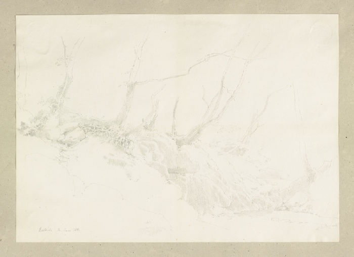 Bäume mit freiliegendem Wurzelstock an einer felsigen Böschung a Carl Theodor Reiffenstein
