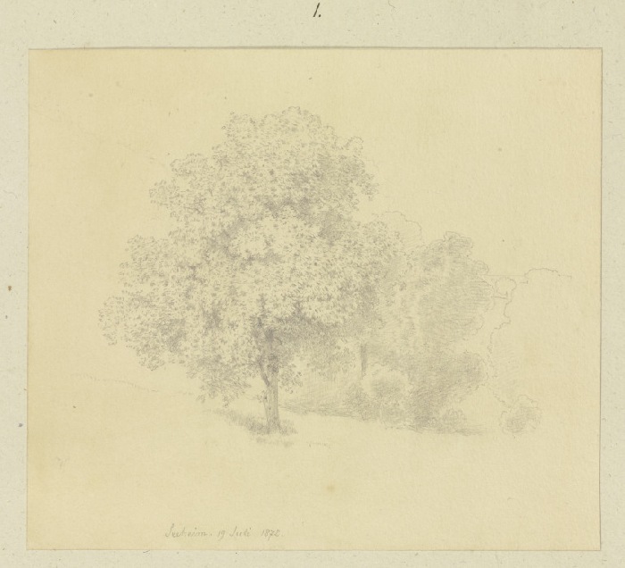 Baum auf einer Wiese bei Seeheim a Carl Theodor Reiffenstein