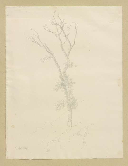 Baum mit abgestorbener Krone a Carl Theodor Reiffenstein