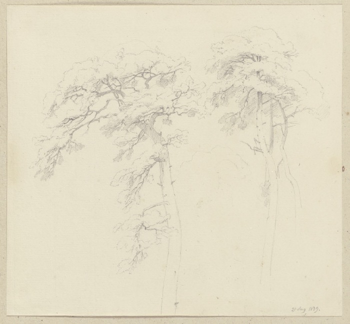 Three trees a Carl Theodor Reiffenstein