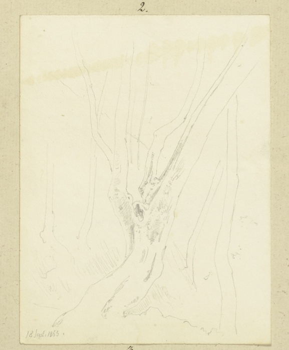 A tree a Carl Theodor Reiffenstein