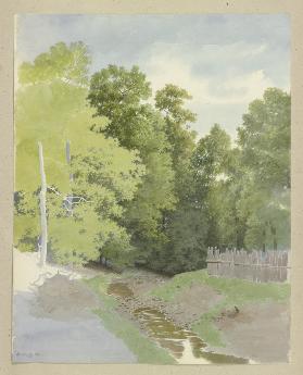 Ein Zaun entlang eines trockengefallenen Bachlaufes am Waldrand