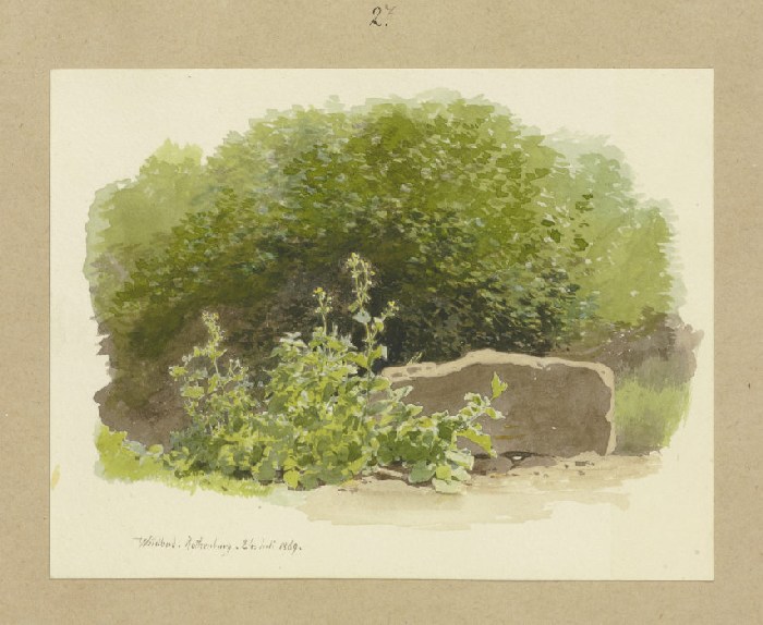 Eine Pflanze neben einem Steinblock, dahinter Sträucher a Carl Theodor Reiffenstein