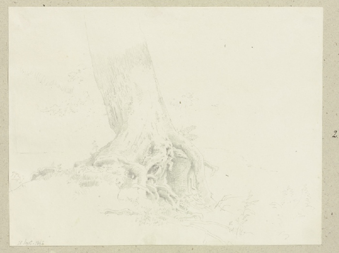 Freiliegendes Wurzelwerk eines Baumes a Carl Theodor Reiffenstein