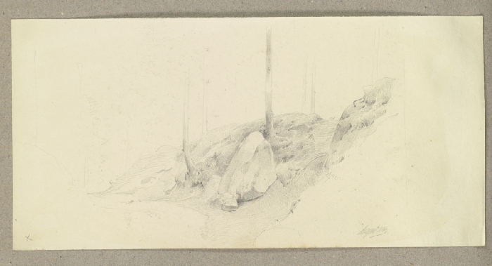 Gesteinsbrocken in einem Waldstück a Carl Theodor Reiffenstein