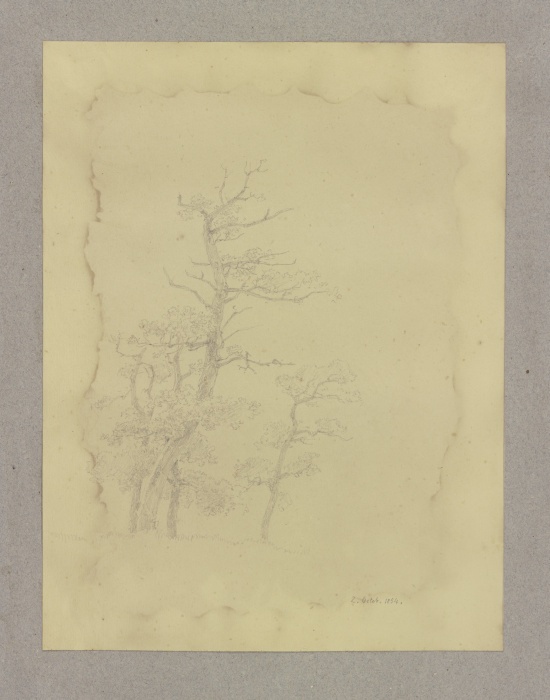 Group of leafless trees a Carl Theodor Reiffenstein