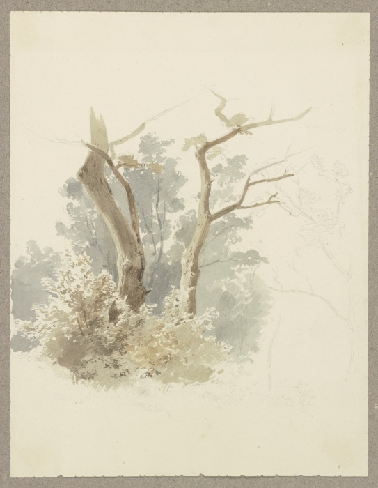 Waldpartie, im Vordergrund ein Baumpaar a Carl Theodor Reiffenstein