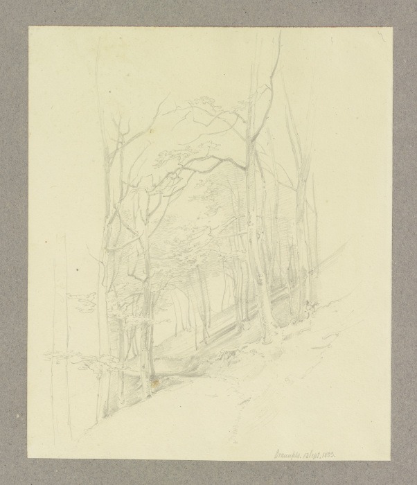 Waldstück an einem Hang bei Braunfels a Carl Theodor Reiffenstein
