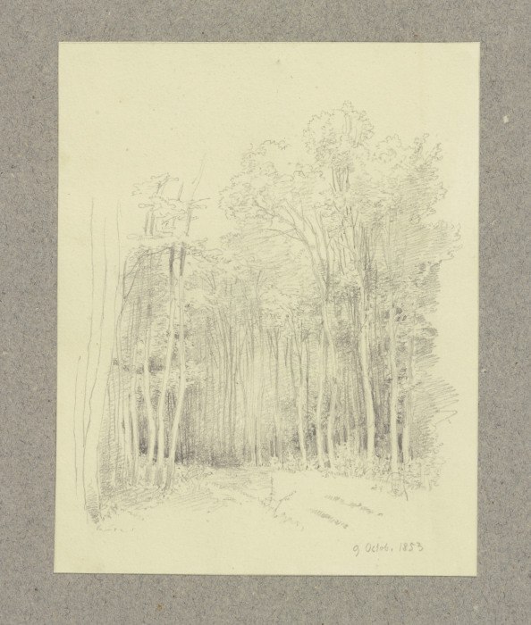 Forest path a Carl Theodor Reiffenstein