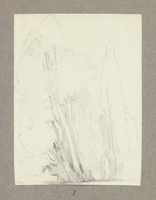 Cypresses in Rome a Carl Theodor Reiffenstein